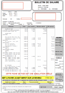 FICHE DE PAIE RMS GARDIENNAGE PARIS 2026